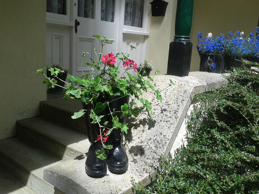 Westleigh House Farm Bed & Breakfast บิดีฟอร์ด ห้อง รูปภาพ